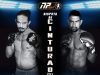 np fight mma em Goiás