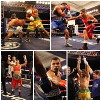 Medalhistas olímpicos confirmam favoritismo no Boxing For You