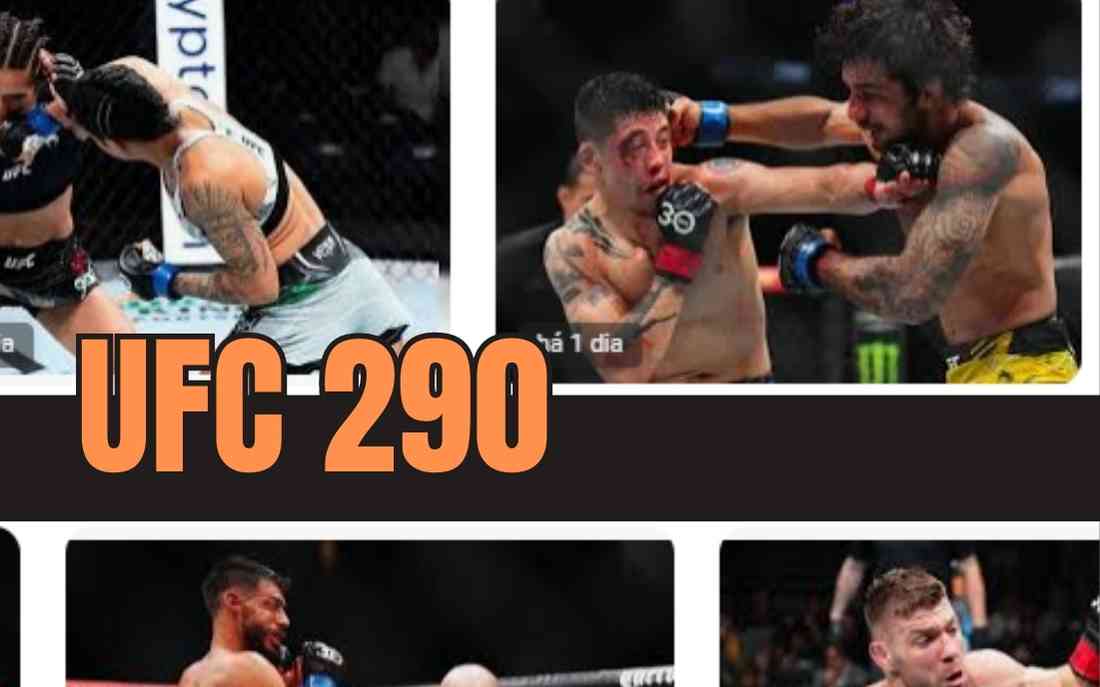 Resultado completo do UFC 290